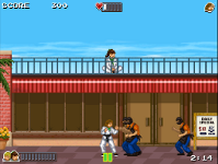 Black Dragon Blitz screenshot